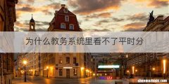 为什么教务系统里看不了平时分