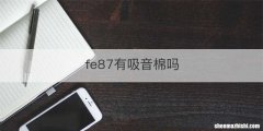 fe87有吸音棉吗