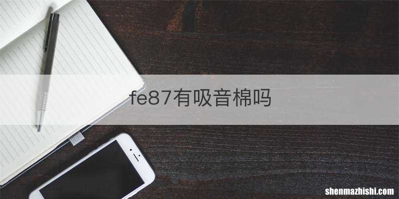 fe87有吸音棉吗