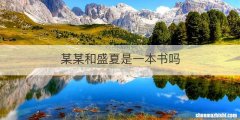 某某和盛夏是一本书吗