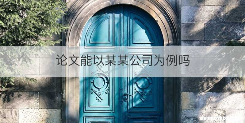 论文能以某某公司为例吗