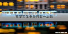 某某实体书是只有一本吗