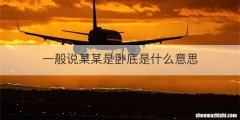 一般说某某是卧底是什么意思