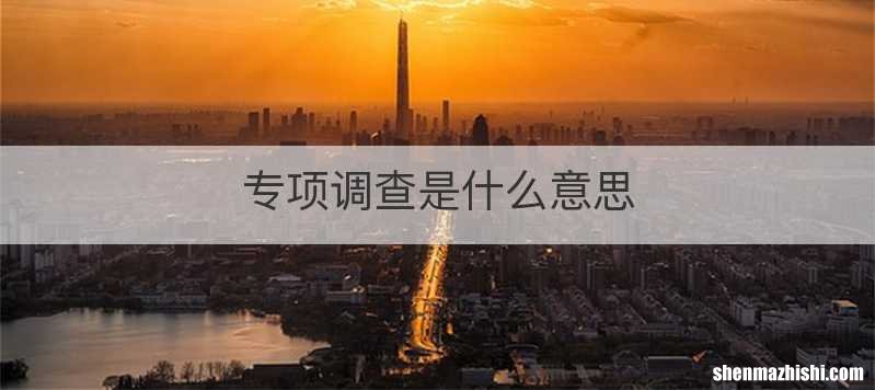 专项调查是什么意思