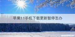 苹果11手机下载更新暂停怎办