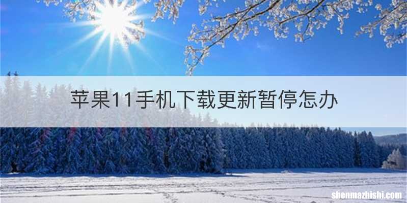 苹果11手机下载更新暂停怎办