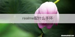 realme配什么手环