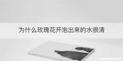 为什么玫瑰花开泡出来的水很清