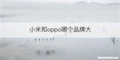 小米和oppo哪个品牌大