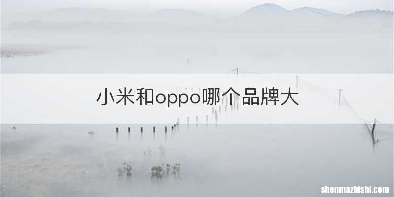 小米和oppo哪个品牌大