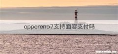 opporeno7支持面容支付吗