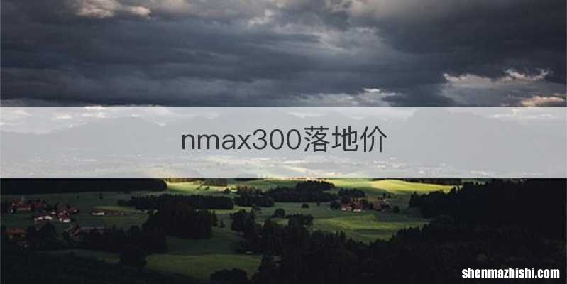 nmax300落地价