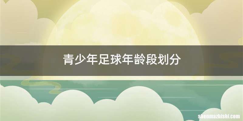 青少年足球年龄段划分