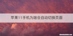 苹果11手机为啥会自动切换页面