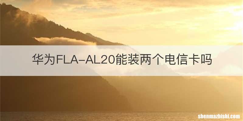 华为FLA-AL20能装两个电信卡吗