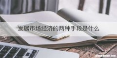 发展市场经济的两种手段是什么