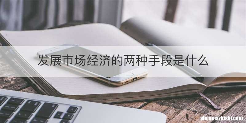 发展市场经济的两种手段是什么