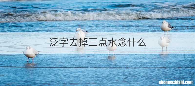 泛字去掉三点水念什么