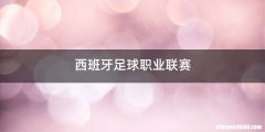 西班牙足球职业联赛