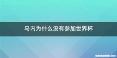 马内为什么没有参加世界杯
