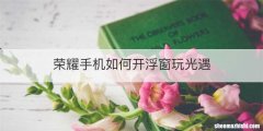 荣耀手机如何开浮窗玩光遇