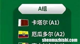 卡塔尔世界杯分组预测