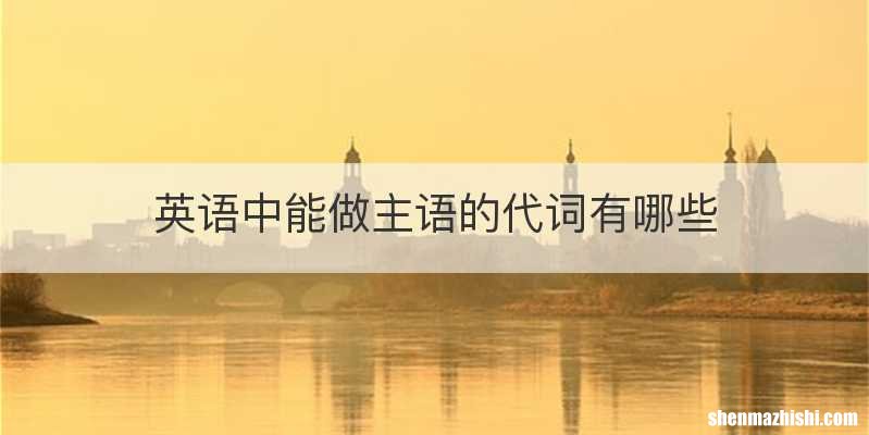 英语中能做主语的代词有哪些