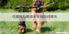 优瞳隐形眼镜半年抛如何清洗