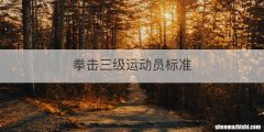拳击三级运动员标准