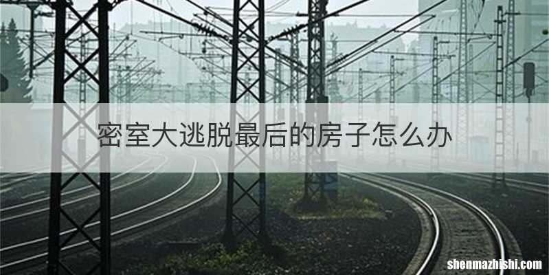 密室大逃脱最后的房子怎么办