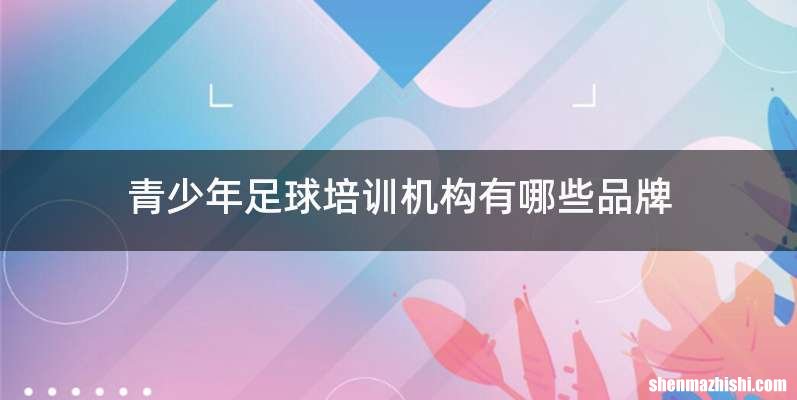 青少年足球培训机构有哪些品牌