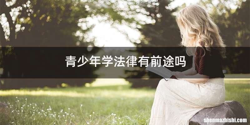 青少年学法律有前途吗