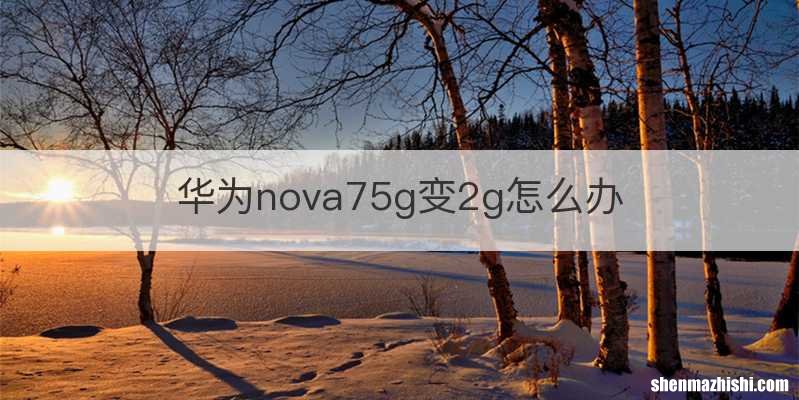华为nova75g变2g怎么办
