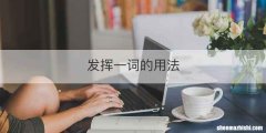 发挥一词的用法