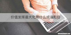 价值发挥最大化用什么成语形容