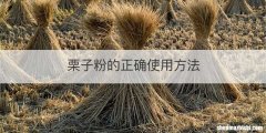 栗子粉的正确使用方法