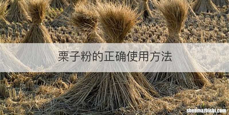 栗子粉的正确使用方法