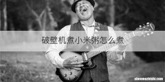 破壁机煮小米粥怎么煮