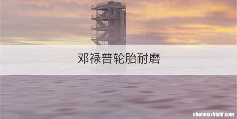 邓禄普轮胎耐磨