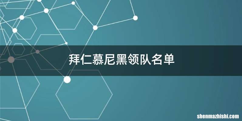 拜仁慕尼黑领队名单