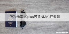 华为畅享10plus可插NM内存卡吗