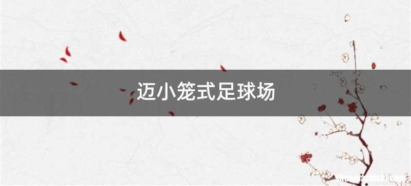 迈小笼式足球场