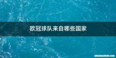 欧冠球队来自哪些国家