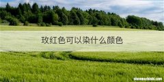 玫红色可以染什么颜色