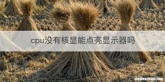 cpu没有核显能点亮显示器吗