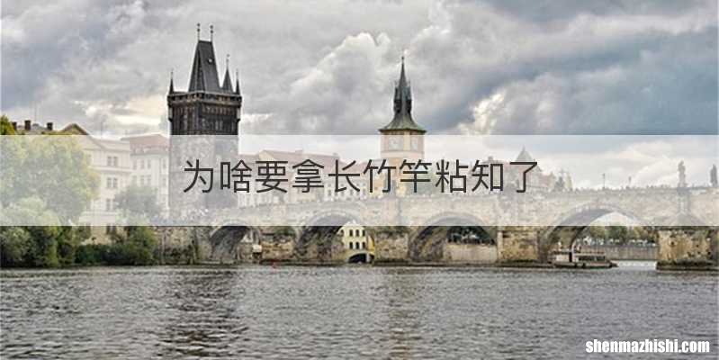 为啥要拿长竹竿粘知了