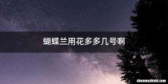 蝴蝶兰用花多多几号啊