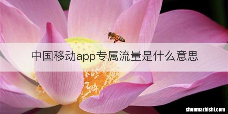 中国移动app专属流量是什么意思