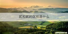 贰和貮的区别是什么
