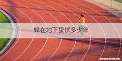 蝉在地下蛰伏多少年